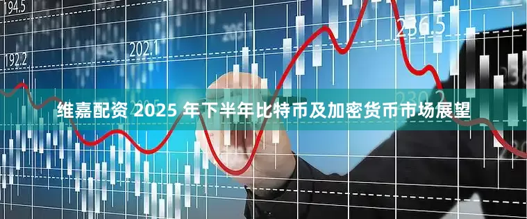 維嘉配資 2025 年下半年比特幣及加密貨幣市場展望