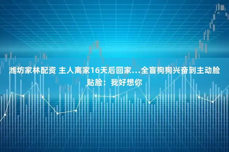 濰坊家林配資 主人離家16天后回家…全盲狗狗興奮到主動臉貼臉：我好想你