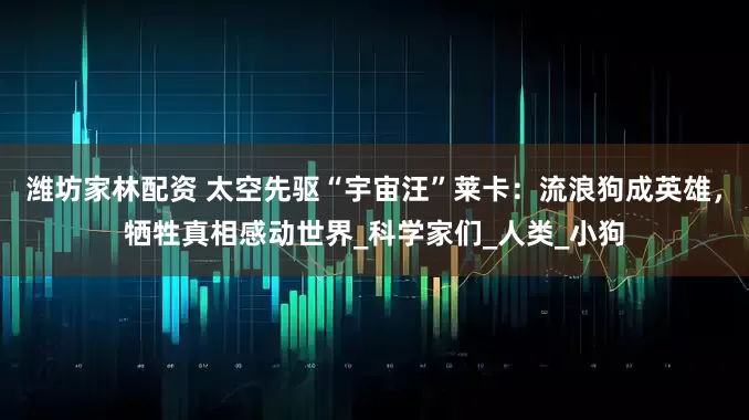 濰坊家林配資 太空先驅“宇宙汪”萊卡:流浪狗成英雄,犧牲真相感動世界_科學家們_人類_小狗